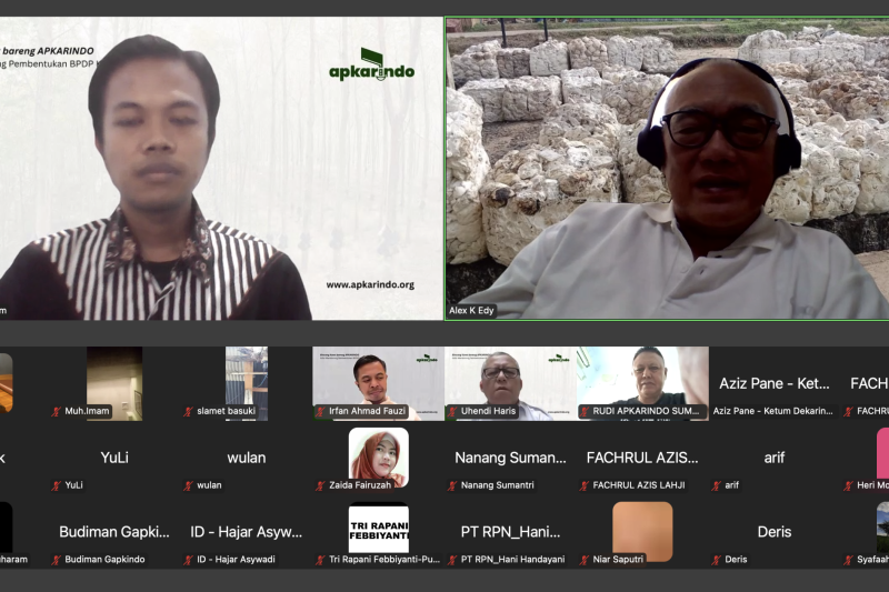 GAPKINDO: PABRIK KARET INDONESIA TINGGAL SEPARUH, INDUSTRI PENGOLAHAN DI TITIK KRITIS — SIAPA YANG BERTANGGUNG JAWAB?